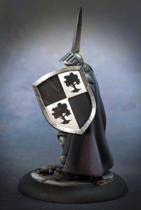 RPR07002 - Reaper Miniatures: Baran Blacktree | Human Fighter