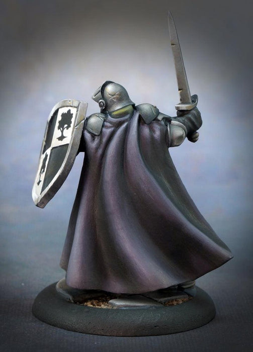 RPR07002 - Reaper Miniatures: Baran Blacktree | Human Fighter