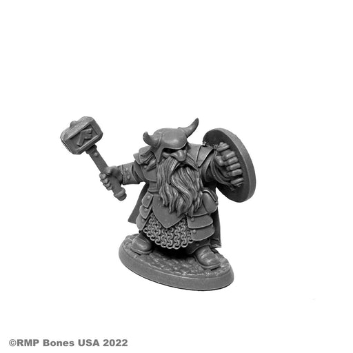 RPR07011 - Reaper Miniatures: Borin Ironbrow | Dwarf Fighter