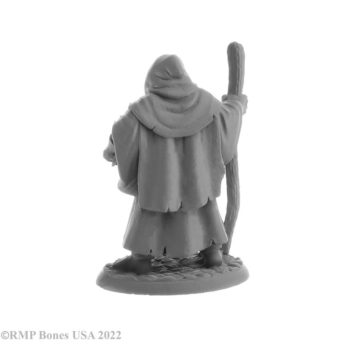 RPR07027 - Reaper Miniatures: Brother Hammond | Human Monk