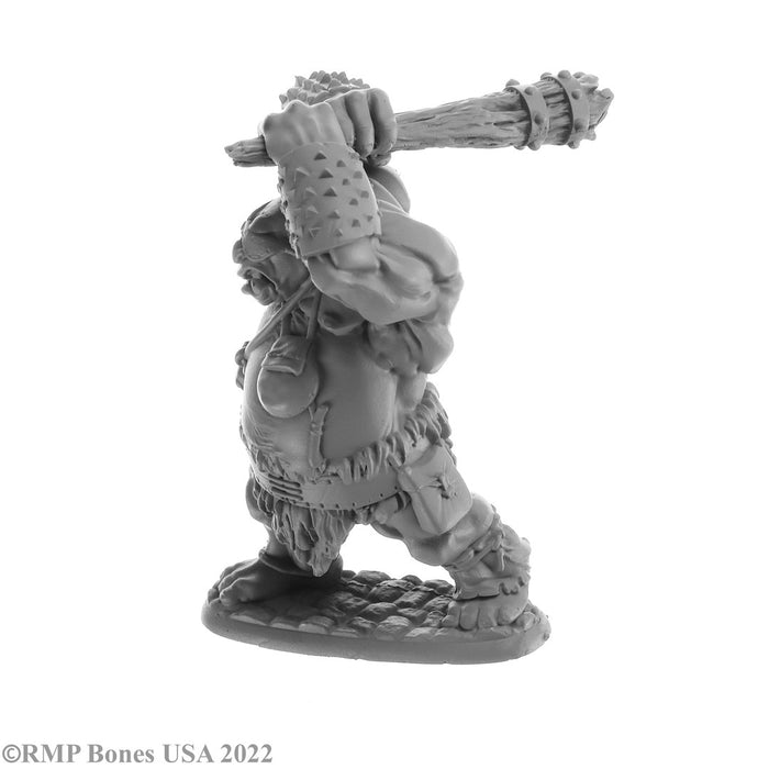 RPR07061 - Reaper Miniatures: Ogre Smasher