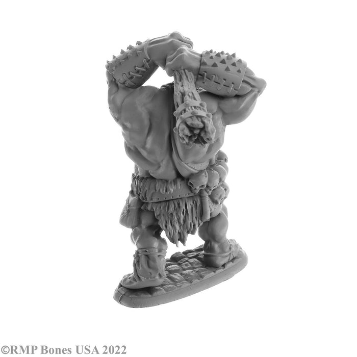 RPR07061 - Reaper Miniatures: Ogre Smasher