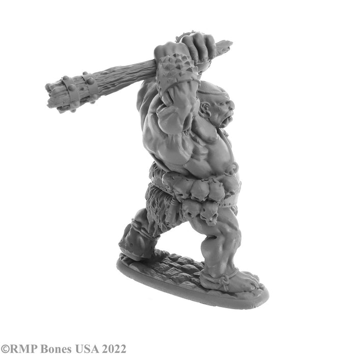 RPR07061 - Reaper Miniatures: Ogre Smasher