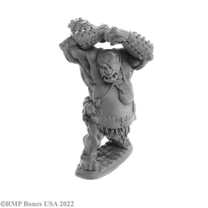 RPR07061 - Reaper Miniatures: Ogre Smasher