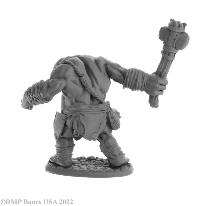 RPR07062 - Reaper Miniatures: Ogre Clubber