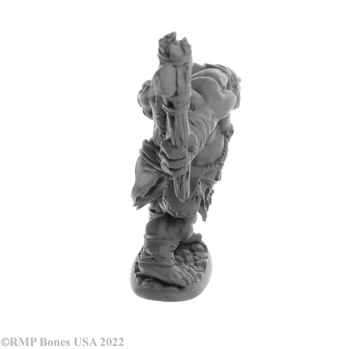 RPR07062 - Reaper Miniatures: Ogre Clubber