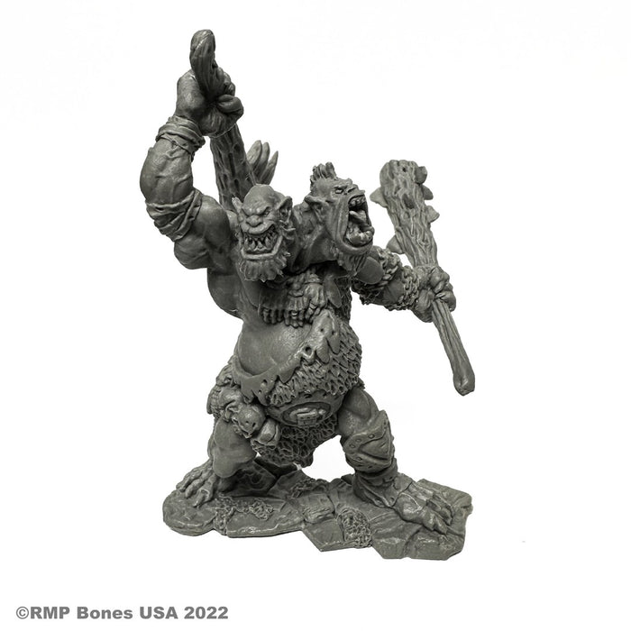 RPR07065 - Reaper Miniatures: Nor'okk Ettin