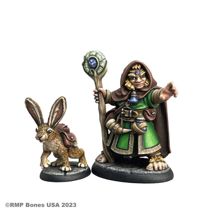 RPR07096 - Reaper Miniatures: Hollis Grayheath | Halfling Druid