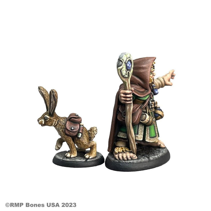 RPR07096 - Reaper Miniatures: Hollis Grayheath | Halfling Druid