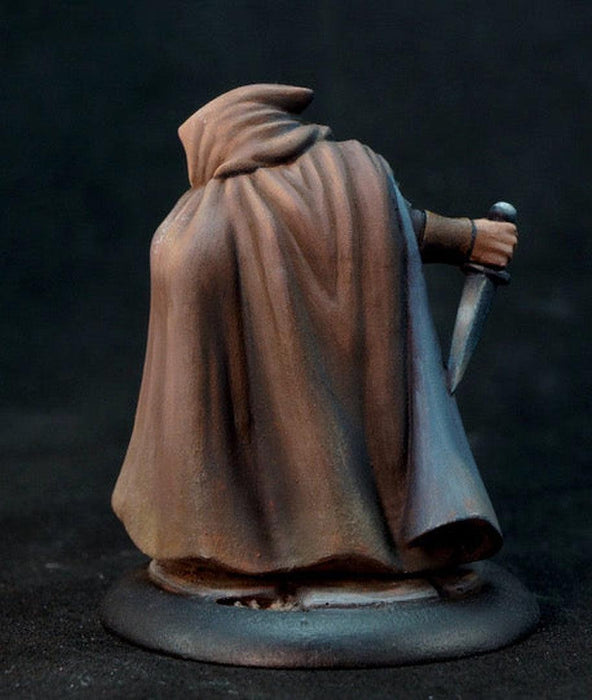 RPR30004 - Reaper Miniatures: Romag Davl | Human Rogue