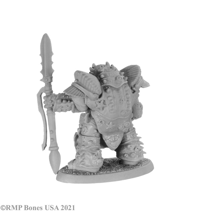 RPR30046 - Reaper Miniatures: Champion of | Cleric