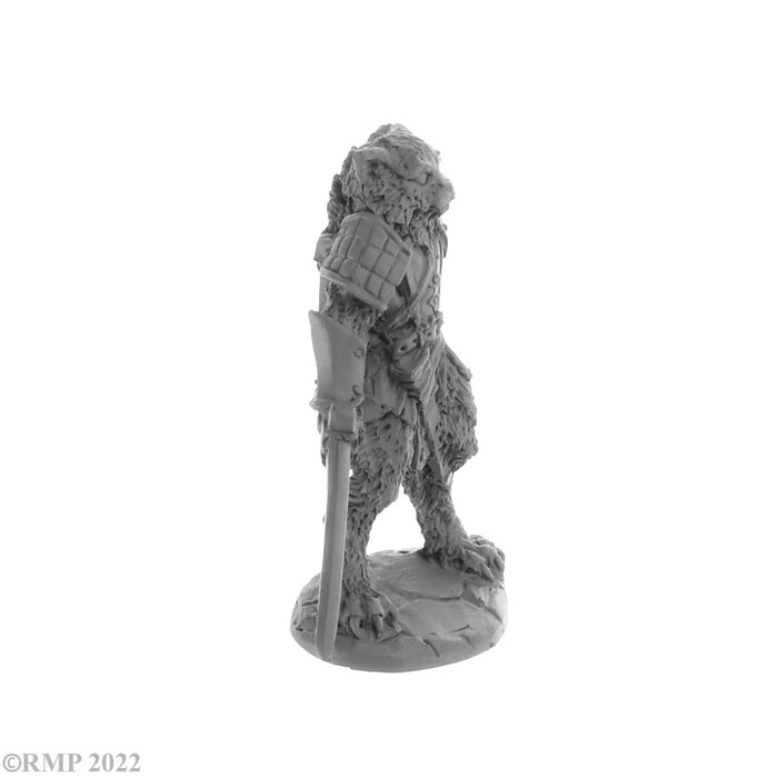 RPR30058 - Reaper Miniatures: Mal Fighter | Catfolk Fighter