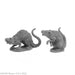 RPR07035 - Reaper Miniatures: Barrow Rats