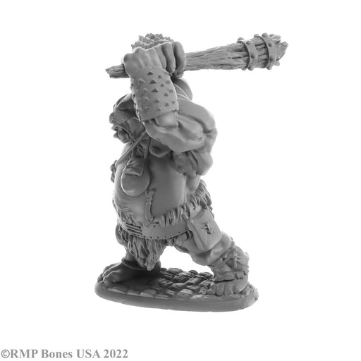 RPR07061 - Reaper Miniatures: Ogre Smasher