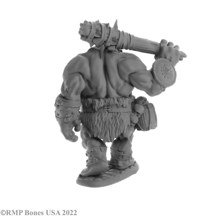 RPR07063 - Reaper Miniatures: Ogre Guard