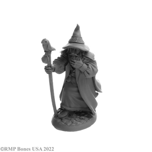 RPR07068 - Reaper Miniatures: Landol Griwsold | Human Wizard