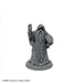 RPR07074 - Reaper Miniatures: Belevos Traveling | Wizard