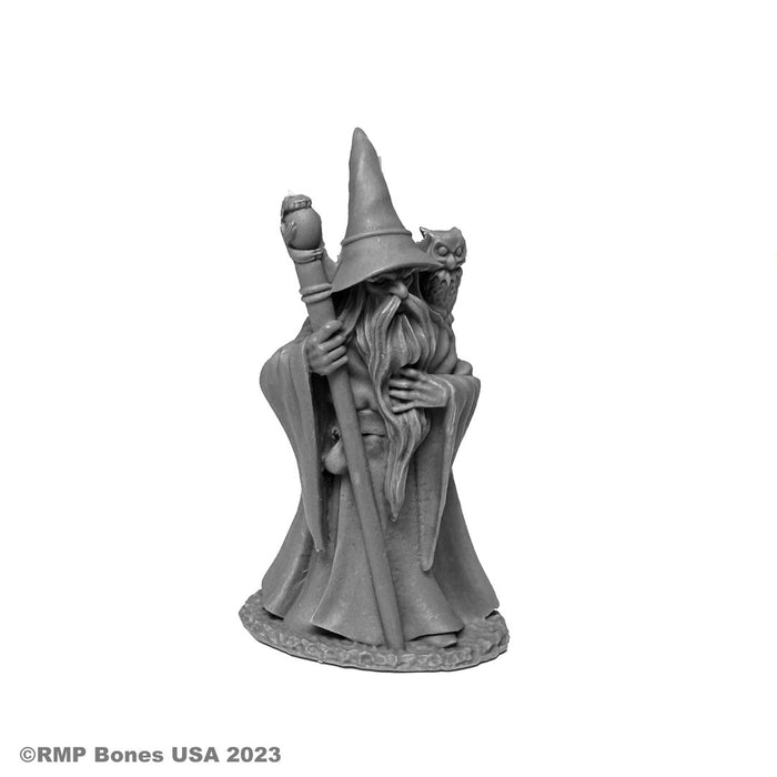 RPR07077 - Reaper Miniatures: Anuminar Winterbeard | Human Wizard