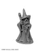 RPR07077 - Reaper Miniatures: Anuminar Winterbeard | Human Wizard