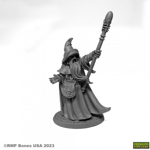 RPR07080 - Reaper Miniatures: Arakus Landarzad | Human Wizard