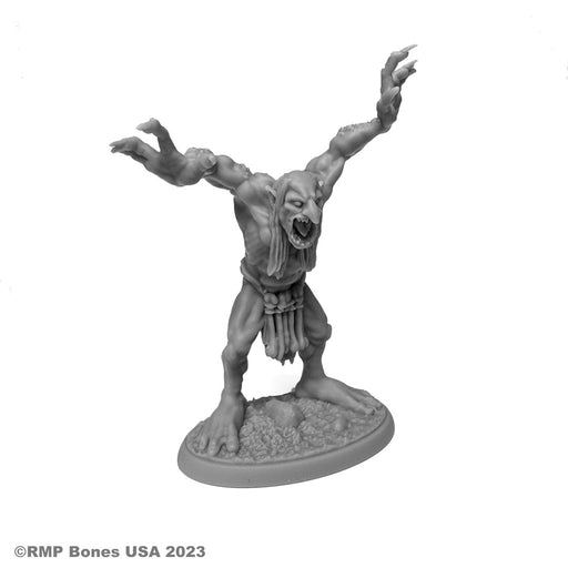 RPR07084 - Reaper Miniatures: Moor Troll