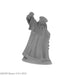 RPR30007 - Reaper Miniatures: Damras Deveril | Human Wizard