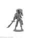 RPR30026 - Reaper Miniatures: Pirate &Chest | Human Monk