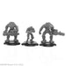 RPR30029 - Reaper Miniatures: Viceroy Enforcers