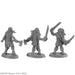 RPR30040 - Reaper Miniatures: Zombie PIrates