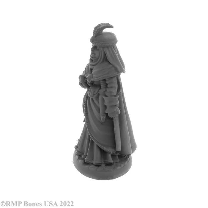 RPR30073 - Reaper Miniatures: Noblewoman | Human Bard