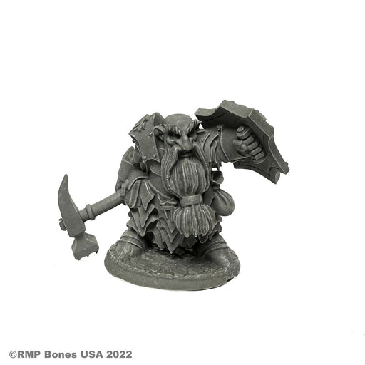 RPR30079 - Reaper Miniatures: Dark Dwarf | Dwarf Paladin