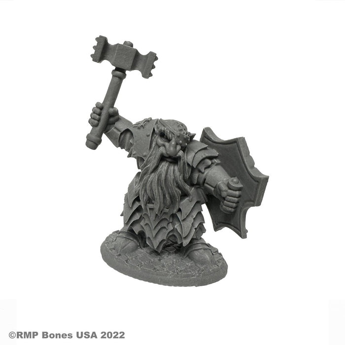 RPR30082 - Reaper Miniatures: Dark Dwarf | Dwarf Paladin