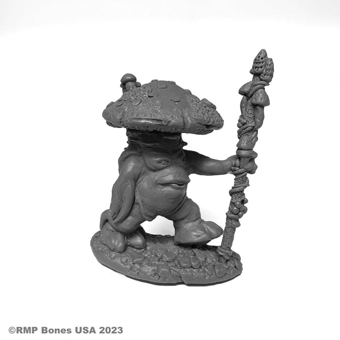 RPR30116 - Reaper Miniatures: Mushroom King