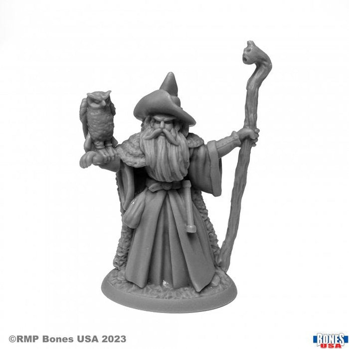 RPR30129 - Reaper Miniatures: Amathor the | Human Wizard