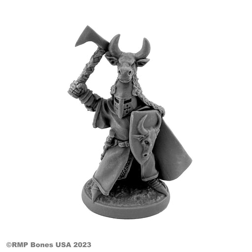 RPR30151 - Reaper Miniatures: Sir Guy | Paladin