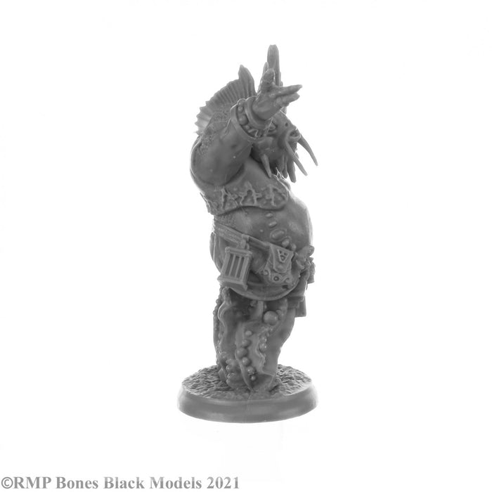 RPR44147 - Reaper Miniatures: Elemental Scions | Planar Lords