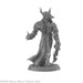 RPR44147 - Reaper Miniatures: Elemental Scions | Planar Lords