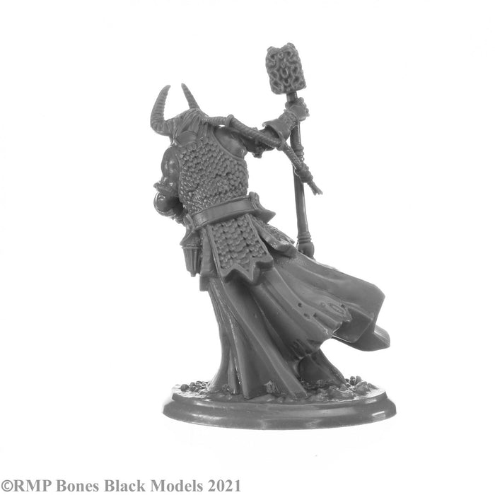 RPR44147 - Reaper Miniatures: Elemental Scions | Planar Lords