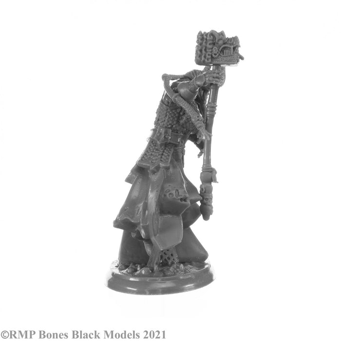 RPR44147 - Reaper Miniatures: Elemental Scions | Planar Lords