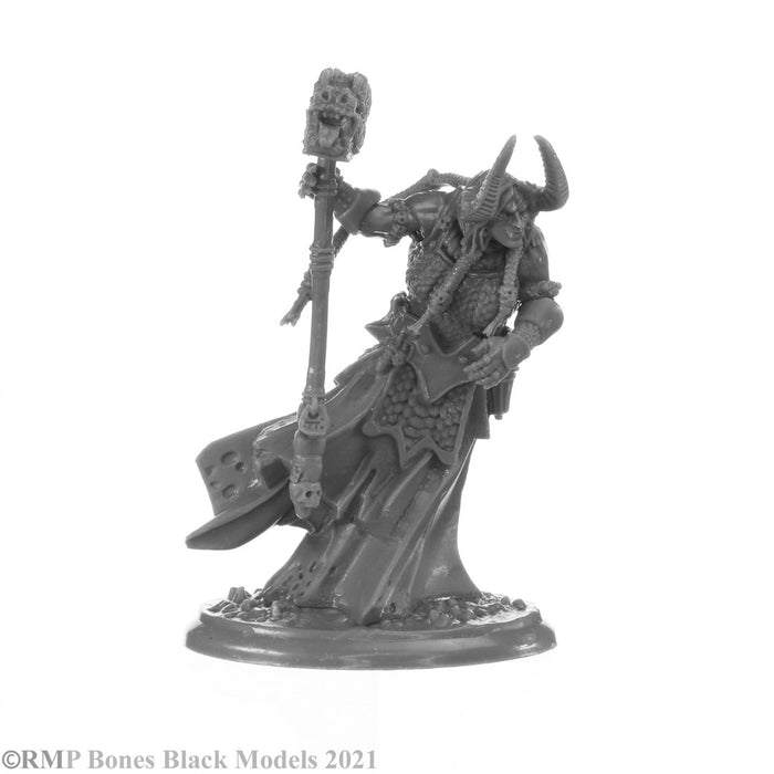 RPR44147 - Reaper Miniatures: Elemental Scions | Planar Lords