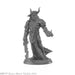 RPR44147 - Reaper Miniatures: Elemental Scions | Planar Lords